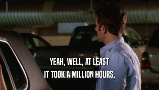 YEAH, WELL, AT LEAST IT TOOK A MILLION HOURS, 
