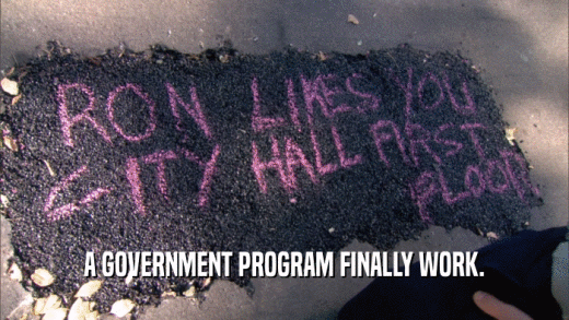 A GOVERNMENT PROGRAM FINALLY WORK.  