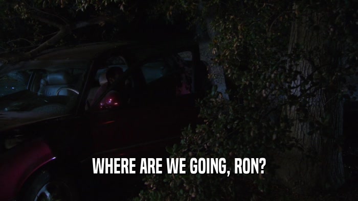 WHERE ARE WE GOING, RON?  