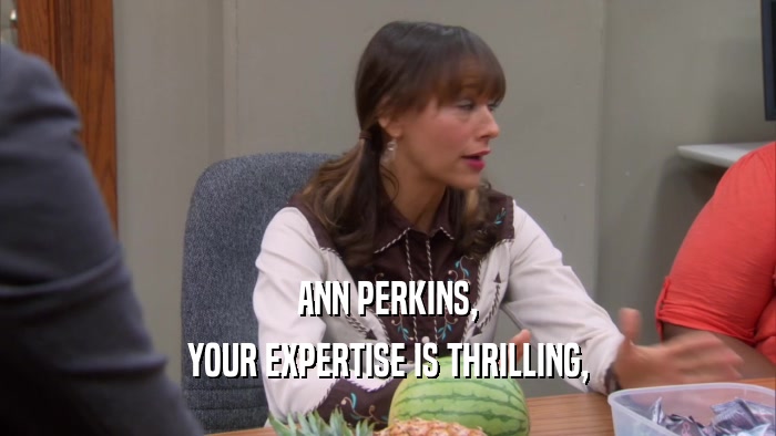 ANN PERKINS, YOUR EXPERTISE IS THRILLING, 