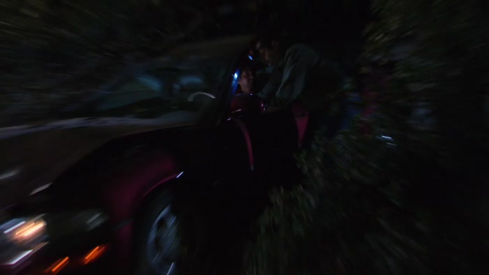 AND THEN A BEAR JUMPED IN FRONT OF THE DEER! 