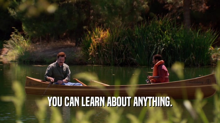 YOU CAN LEARN ABOUT ANYTHING.  