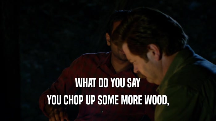 WHAT DO YOU SAY YOU CHOP UP SOME MORE WOOD, 