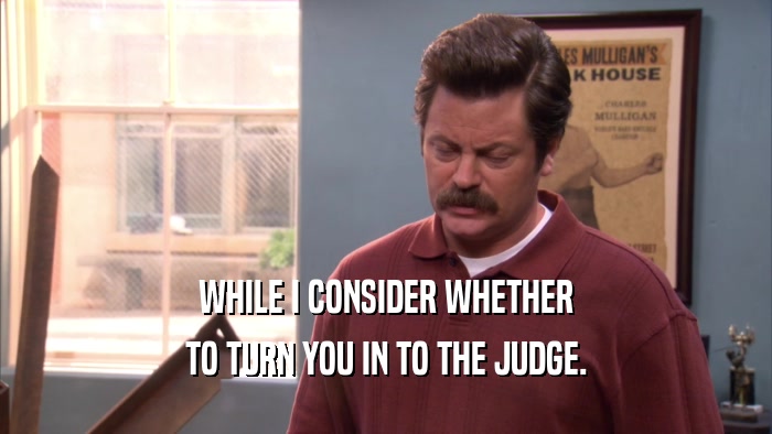 WHILE I CONSIDER WHETHER TO TURN YOU IN TO THE JUDGE. 