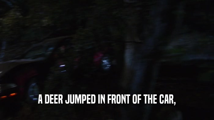A DEER JUMPED IN FRONT OF THE CAR,  
