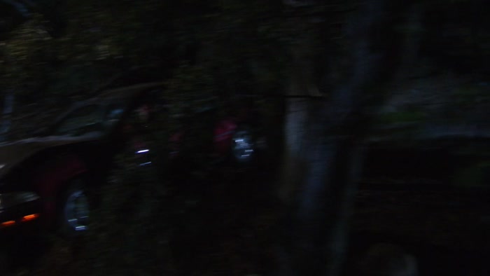 A DEER JUMPED IN FRONT OF THE CAR,  