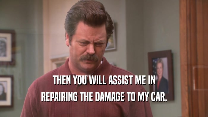 THEN YOU WILL ASSIST ME IN REPAIRING THE DAMAGE TO MY CAR. 