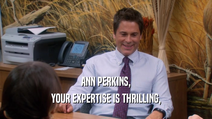 ANN PERKINS, YOUR EXPERTISE IS THRILLING, 