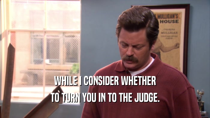 WHILE I CONSIDER WHETHER TO TURN YOU IN TO THE JUDGE. 