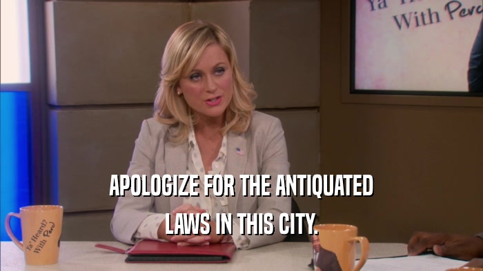 APOLOGIZE FOR THE ANTIQUATED LAWS IN THIS CITY. 