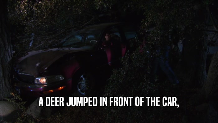 A DEER JUMPED IN FRONT OF THE CAR,  