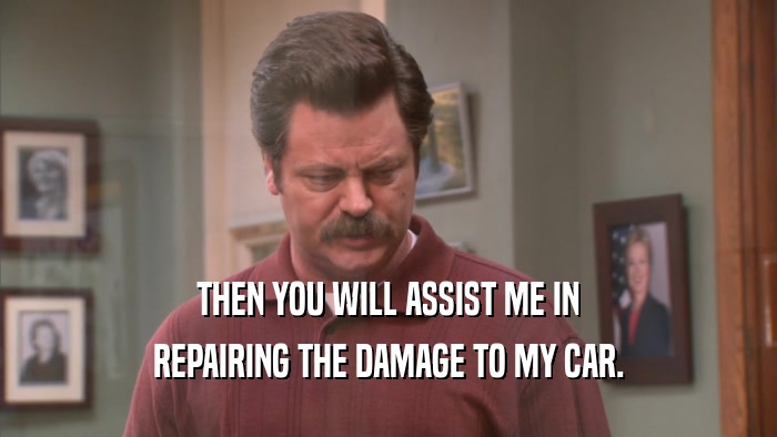 THEN YOU WILL ASSIST ME IN REPAIRING THE DAMAGE TO MY CAR. 