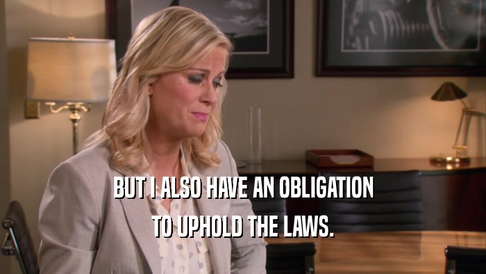 BUT I ALSO HAVE AN OBLIGATION TO UPHOLD THE LAWS. 