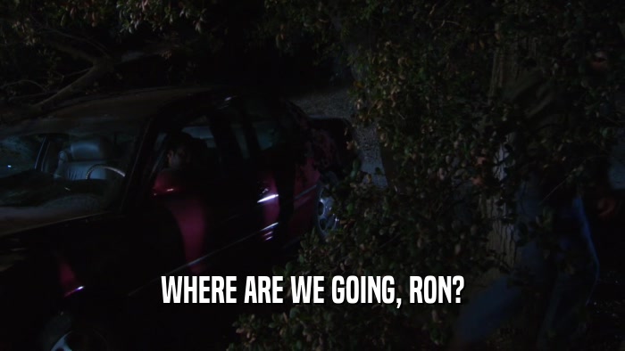 WHERE ARE WE GOING, RON?  