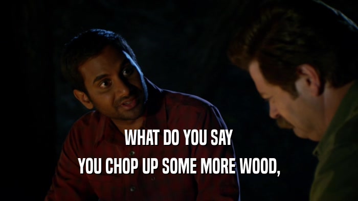 WHAT DO YOU SAY YOU CHOP UP SOME MORE WOOD, 