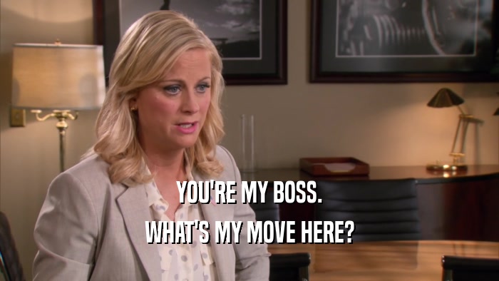 YOU'RE MY BOSS. WHAT'S MY MOVE HERE? 