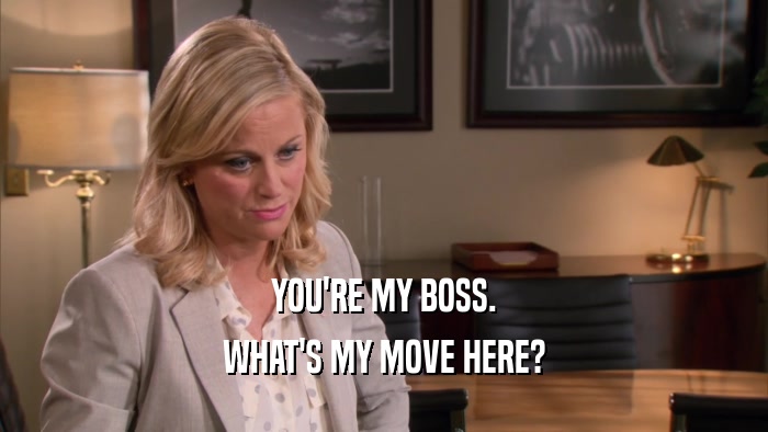 YOU'RE MY BOSS. WHAT'S MY MOVE HERE? 