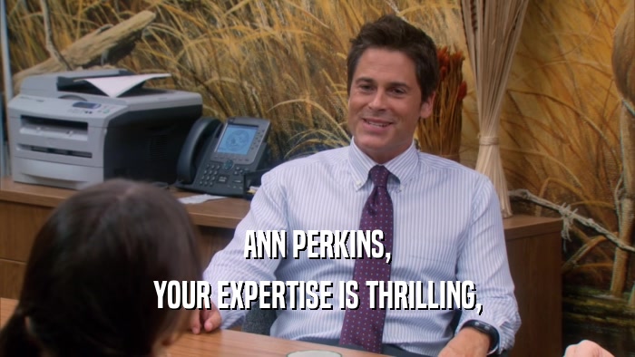 ANN PERKINS, YOUR EXPERTISE IS THRILLING, 