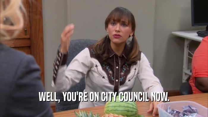 WELL, YOU'RE ON CITY COUNCIL NOW.  