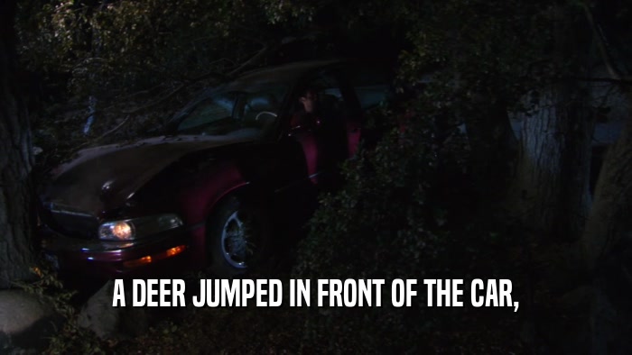 A DEER JUMPED IN FRONT OF THE CAR,  