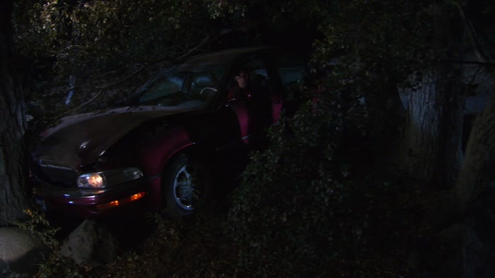 A DEER JUMPED IN FRONT OF THE CAR,  