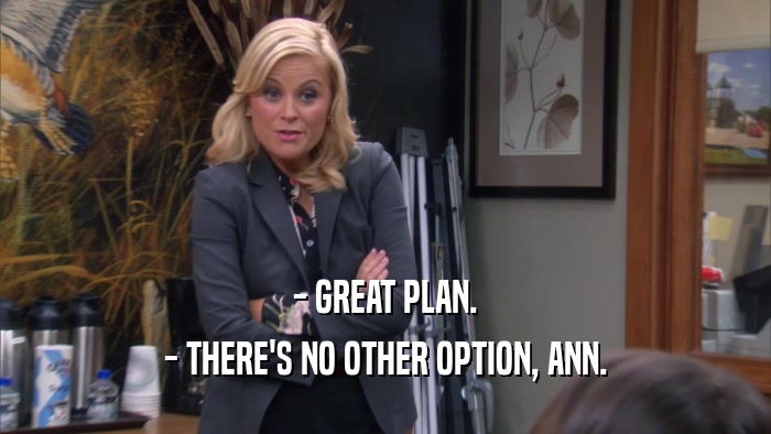 - GREAT PLAN. - THERE'S NO OTHER OPTION, ANN. 