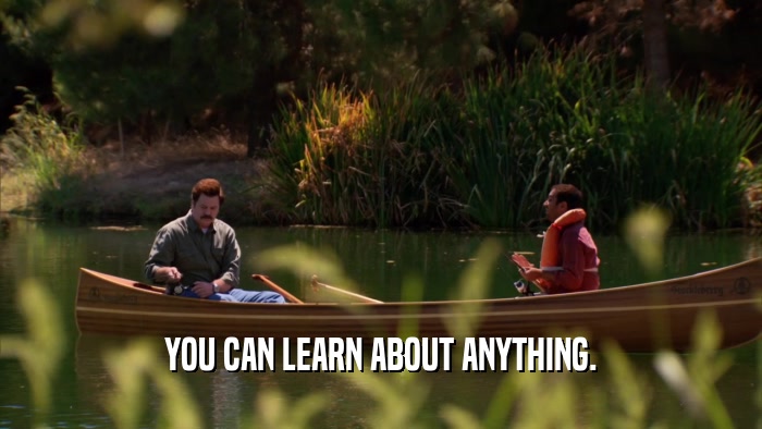 YOU CAN LEARN ABOUT ANYTHING.  