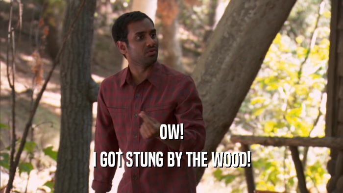 OW!
 I GOT STUNG BY THE WOOD!
 
