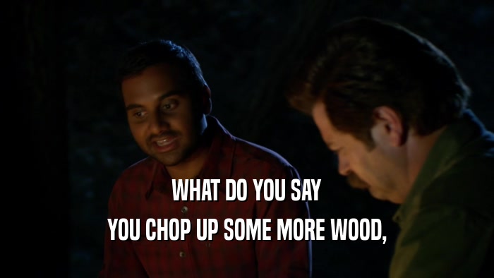 WHAT DO YOU SAY YOU CHOP UP SOME MORE WOOD, 