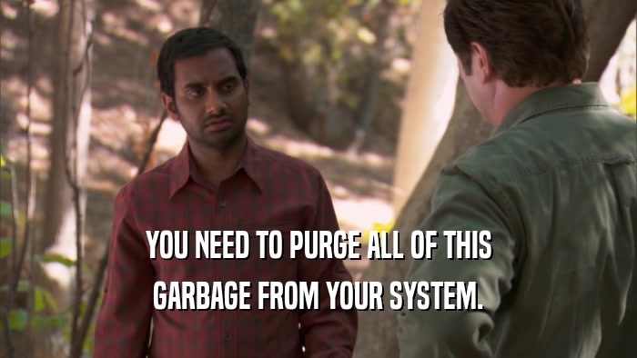 YOU NEED TO PURGE ALL OF THIS GARBAGE FROM YOUR SYSTEM. 