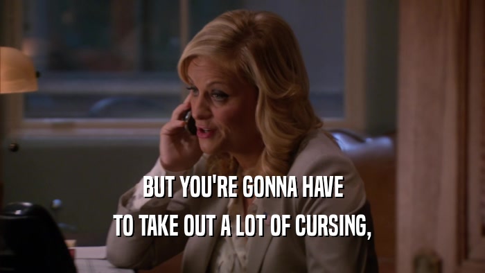 BUT YOU'RE GONNA HAVE TO TAKE OUT A LOT OF CURSING, 