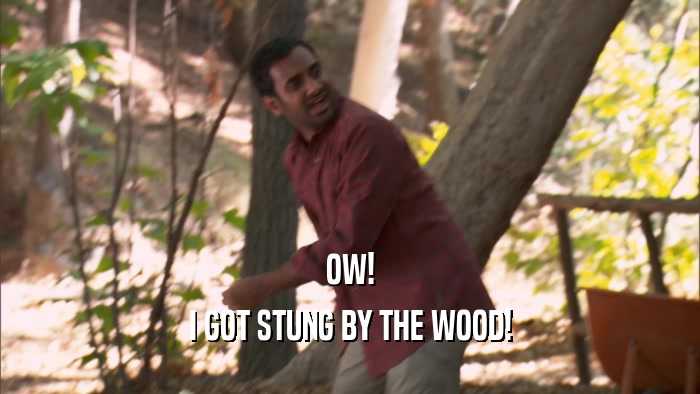 OW!
 I GOT STUNG BY THE WOOD!
 