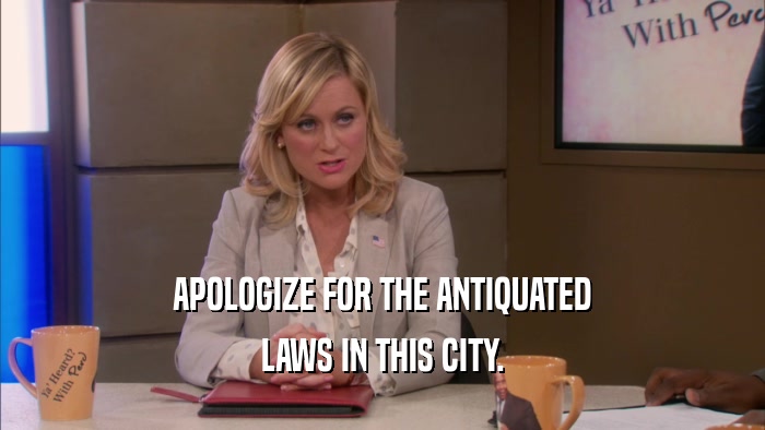 APOLOGIZE FOR THE ANTIQUATED LAWS IN THIS CITY. 
