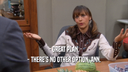 - GREAT PLAN. - THERE'S NO OTHER OPTION, ANN. 