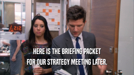 HERE IS THE BRIEFING PACKET FOR OUR STRATEGY MEETING LATER. 