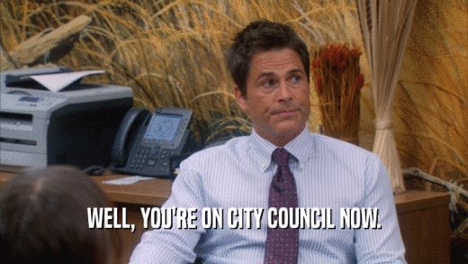 WELL, YOU'RE ON CITY COUNCIL NOW.  