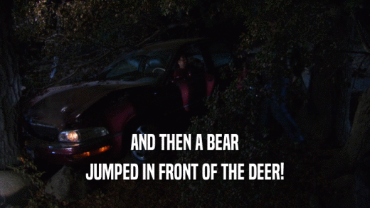 AND THEN A BEAR JUMPED IN FRONT OF THE DEER! 