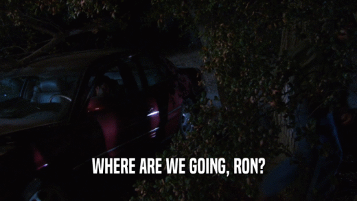 WHERE ARE WE GOING, RON?  