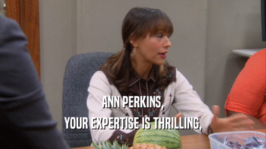 ANN PERKINS, YOUR EXPERTISE IS THRILLING, 