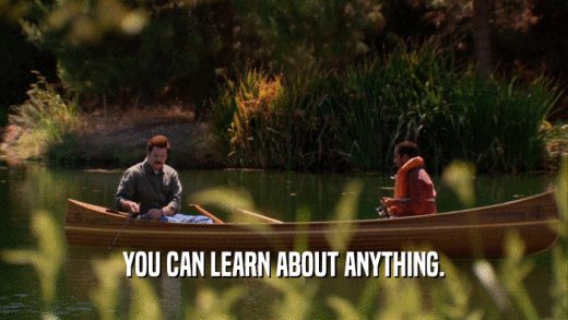 YOU CAN LEARN ABOUT ANYTHING.  