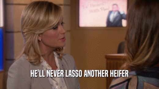 HE'LL NEVER LASSO ANOTHER HEIFER  