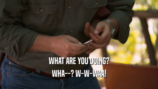 WHAT ARE YOU DOING? WHA--? W-W-WAA! 