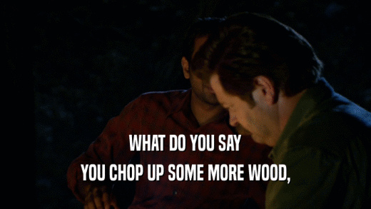 WHAT DO YOU SAY YOU CHOP UP SOME MORE WOOD, 