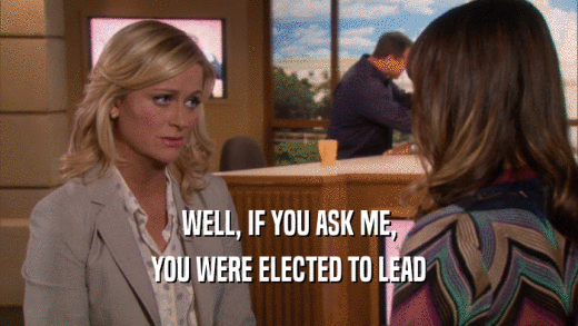 WELL, IF YOU ASK ME, YOU WERE ELECTED TO LEAD 