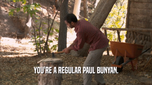 YOU'RE A REGULAR PAUL BUNYAN.
  