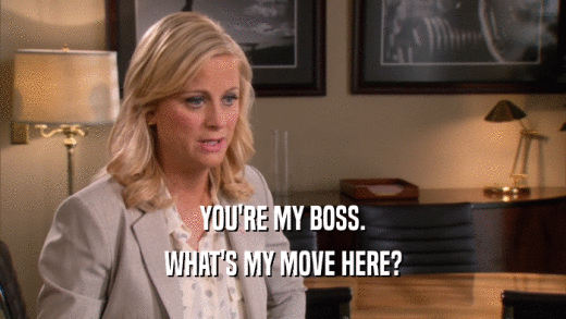 YOU'RE MY BOSS. WHAT'S MY MOVE HERE? 