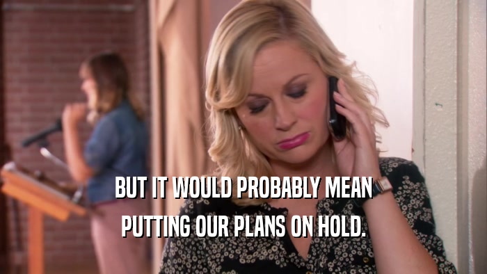 BUT IT WOULD PROBABLY MEAN PUTTING OUR PLANS ON HOLD. 
