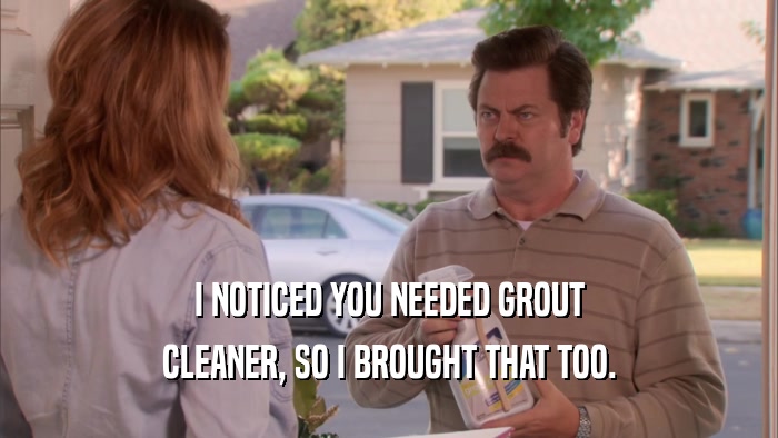 I NOTICED YOU NEEDED GROUT CLEANER, SO I BROUGHT THAT TOO. 
