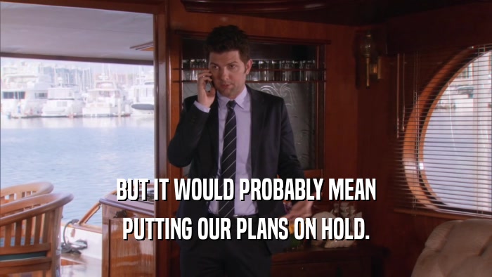 BUT IT WOULD PROBABLY MEAN PUTTING OUR PLANS ON HOLD. 