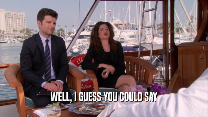 WELL, I GUESS YOU COULD SAY  